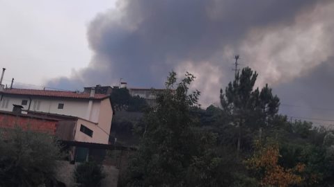 Incêndios: Bispo de Bragança quer prevenção e mudança de mentalidade e apoia o ministro Valongo do Vouga, figo, incêndios, casa comum