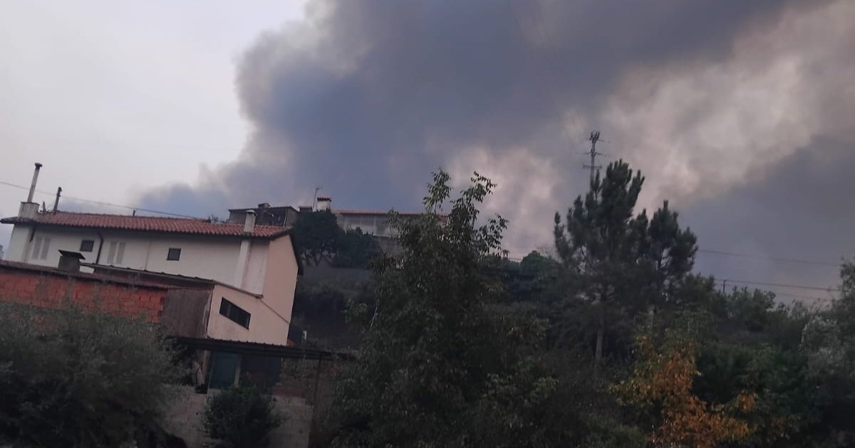Valongo do Vouga, figo, incêndios, casa comum