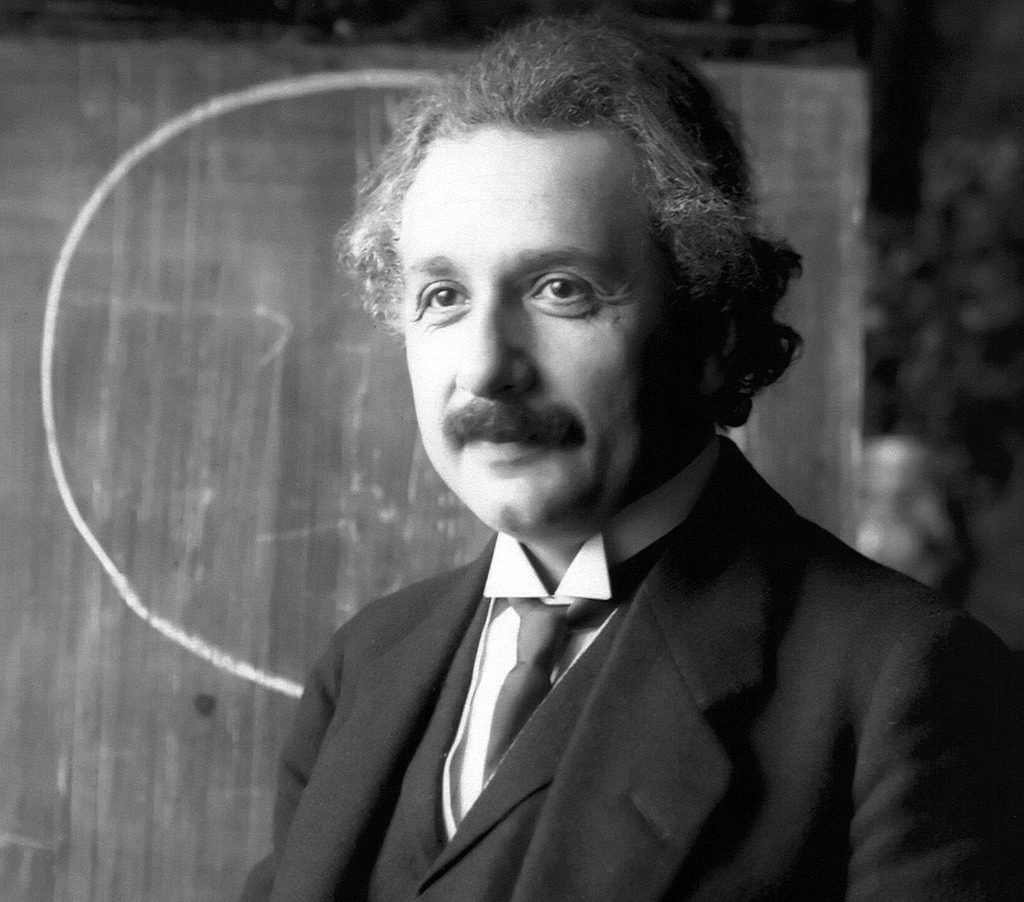 Albert Einstein. Retrato