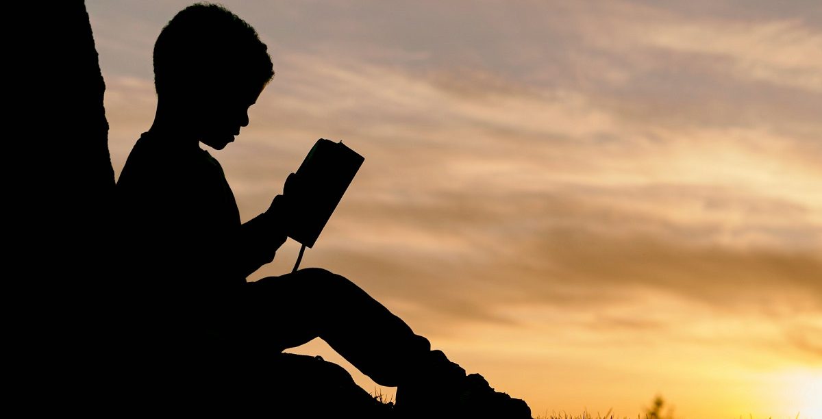 Ler. Literatura. Educação