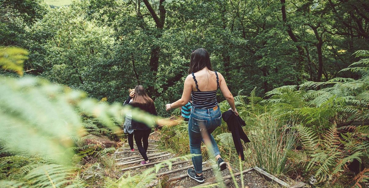 Passeio na natureza