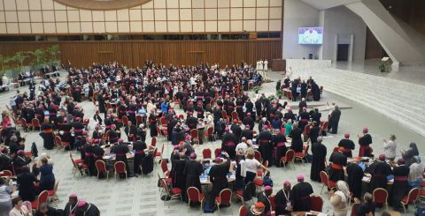 Leia aqui o Documento Final do Sínodo em Português Sinodais aplaudem o Papa na conclusão da assembleia do Sínodo dos Bispos, 26 outubro 2024. Foto Clara Raimundo