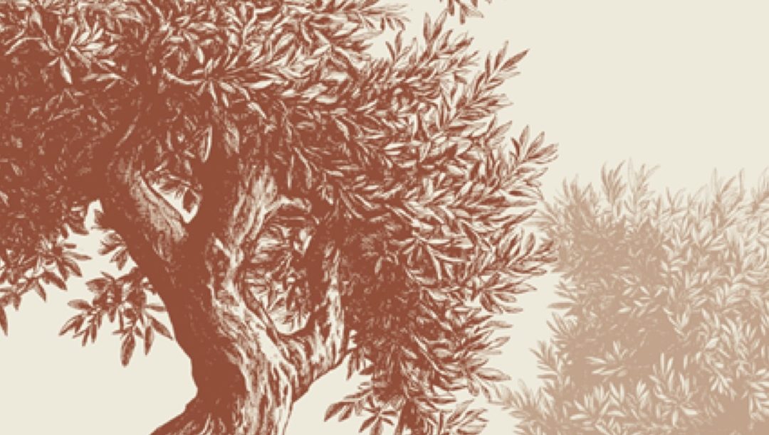 “A Vida Em Nós” – aforismos de Tolentino Mendonça