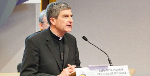 presidente da conferência episcopal de França, Éric de Moulins-Beaufort, novembro 2024. Foto Elziario Bandeira