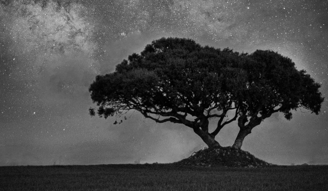 da noite, da promessa e da possibilidade