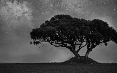 da noite, da promessa e da possibilidade