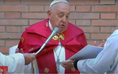 A voz de Francisco