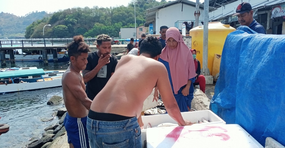 pesca, Indonésia, clima, emergência climática, Flores