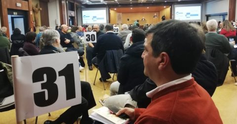 encontro sinodal, Sinodo