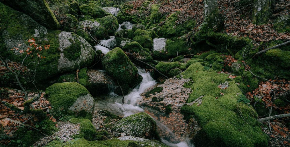 Manteigas, Serra da Estrela. Foto Miguel Cardoso