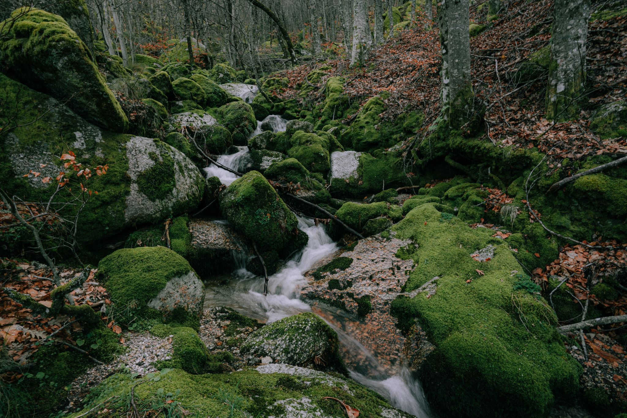 Manteigas, Serra da Estrela. Foto Miguel Cardoso