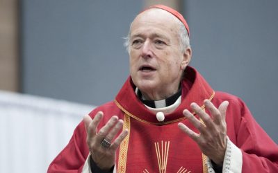 “Deportação massiva de imigrantes é incompatível com a doutrina católica”