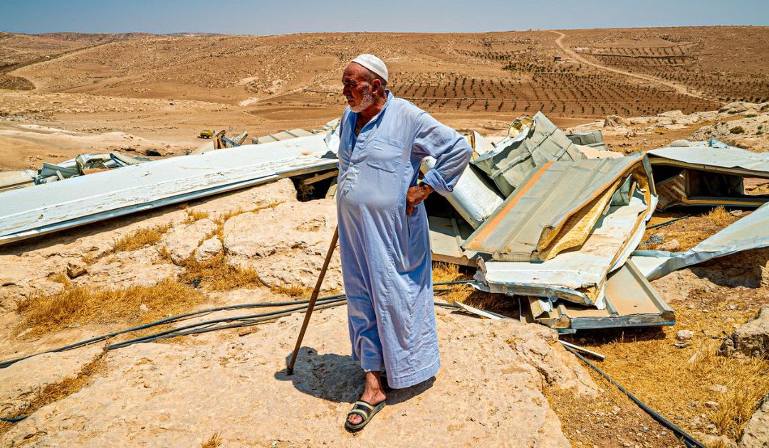 Amnistia documenta violência de colonos e exército israelita contra pastores palestinianos