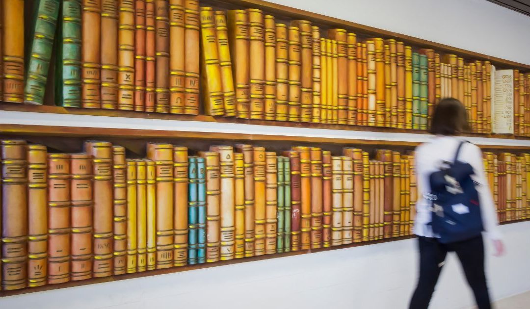 Artista plástica Emília Nadal doa desenhos à Universidade Católica