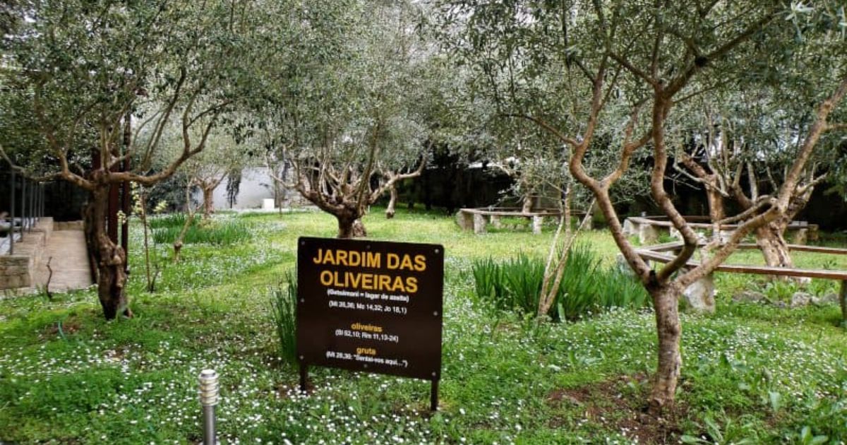 Um dos espaços do Jardim Bíblico, no Centro Bíblico dos Capuchinhos, em Fátima. Foto Capuchinhos Um dos espaços do Jardim Bíblico, no Centro Bíblico dos Capuchinhos, em Fátima. Foto Capuchinhos