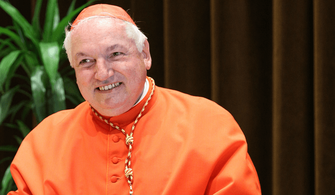 Cardeal Aveline aos bispos de França: “Não tenhamos medo!”