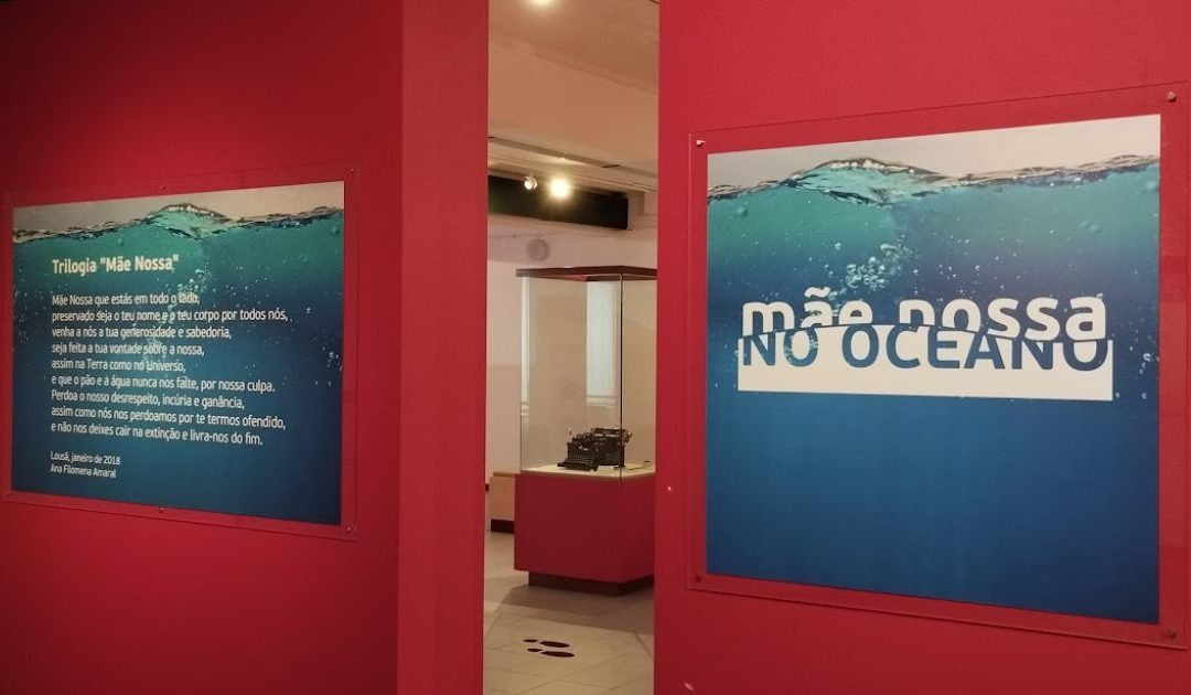 Exposição de fotografia revela oceano ameaçado no Consolata Museu
