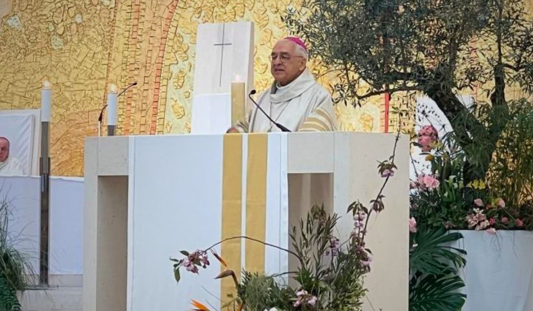 Caminho iniciado pelo Papa Francisco “precisa de ser continuado”
