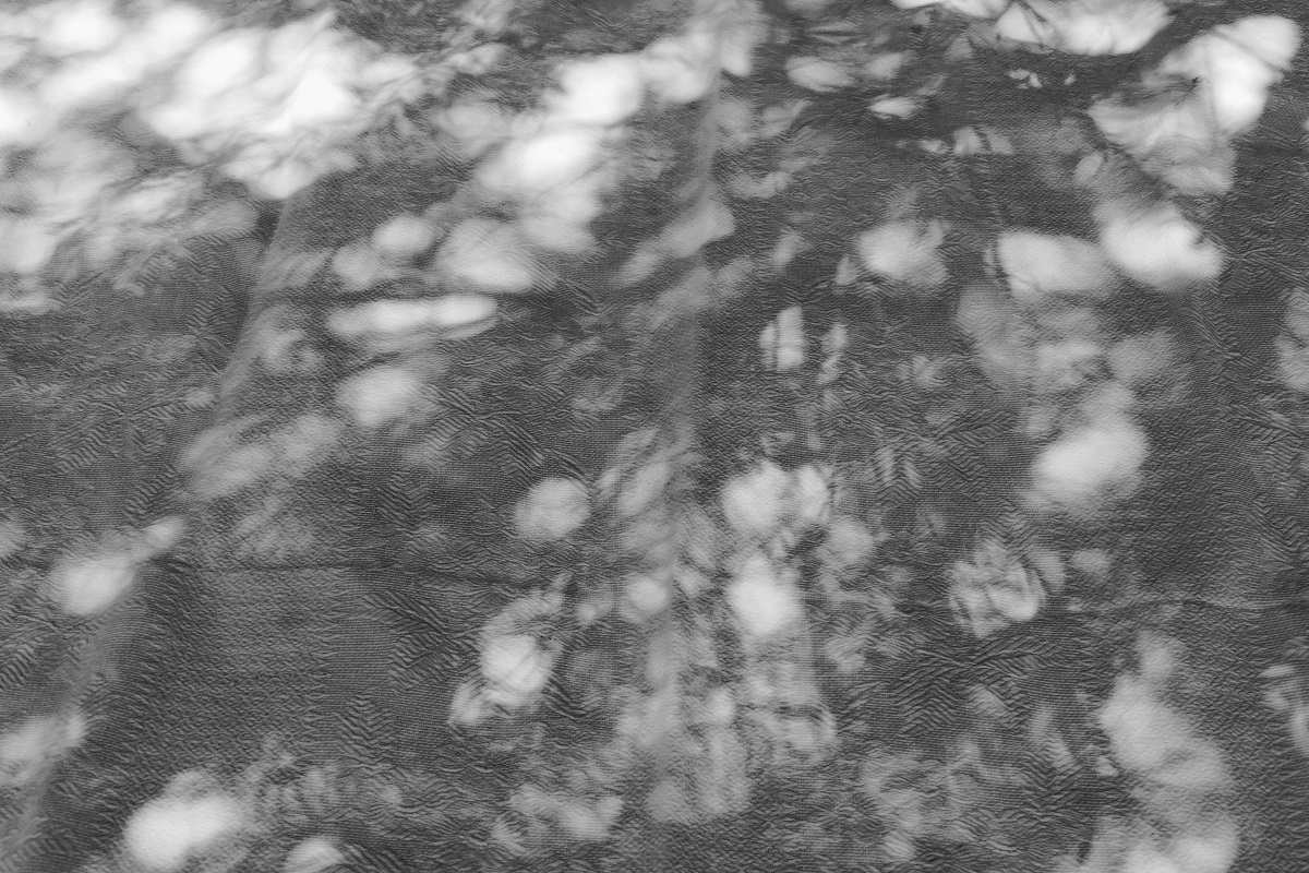 Natureza