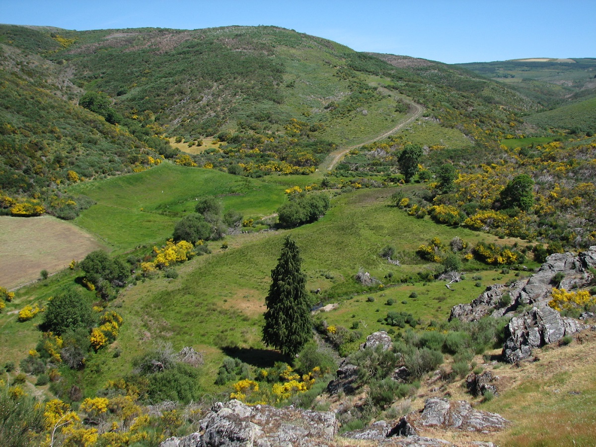 Casais da Serra, Folgosinho. Natureza