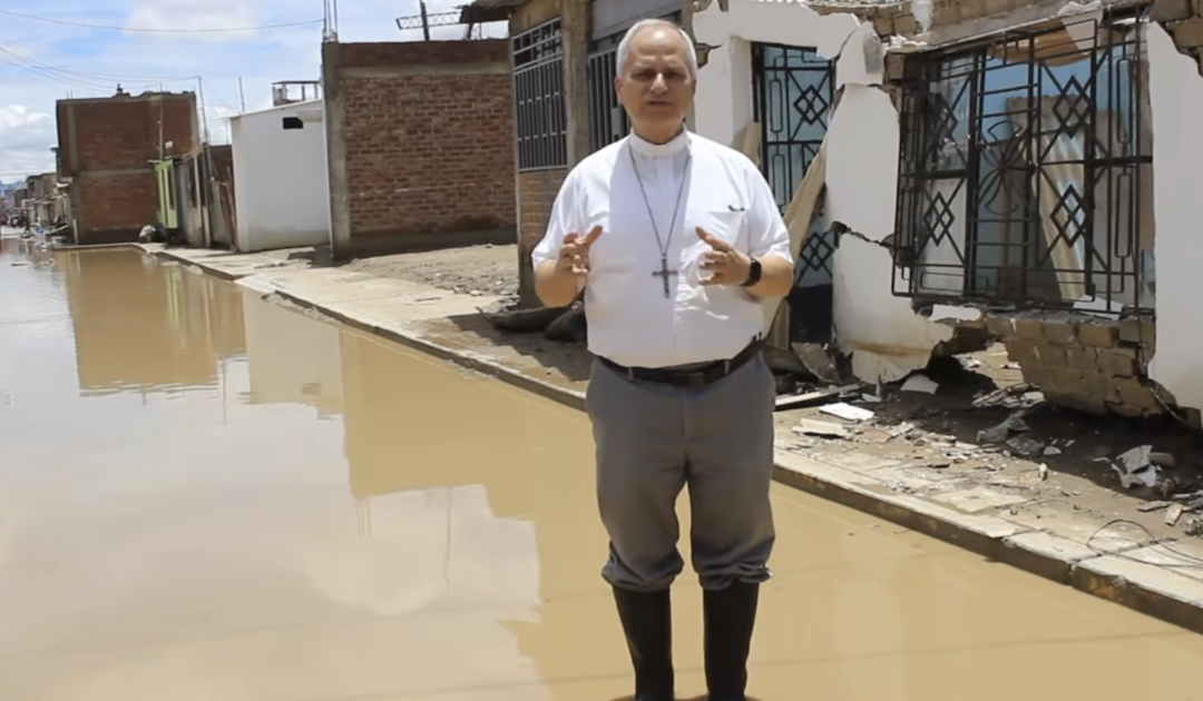 Um Papa cerebral