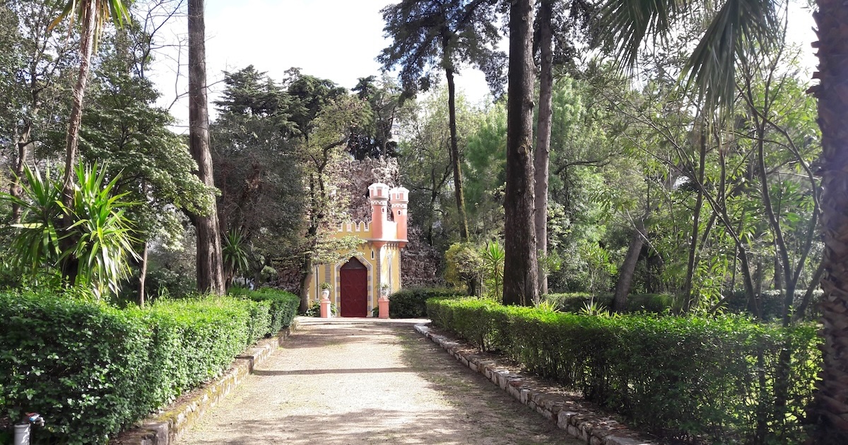 Jardim Laudato Si’, no Seminário Franciscano da Luz, em Lisboa: “O jardim é a metáfora da vida feliz, ou da geografia e paisagem da alma." Foto © Isidro Lamelas