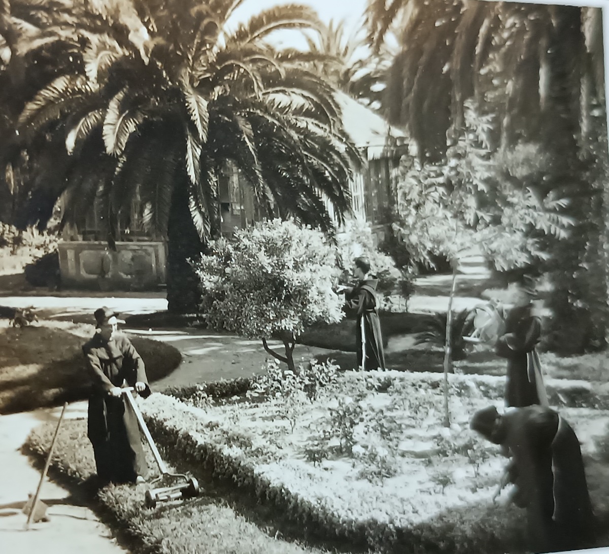 Frades franciscanos, nos anos 50, a cuidar do Jardim do Seminário da Luz, em Lisboa: “O Homem é convidado a aprender as lições da natureza”. Foto: Direitos reservados.