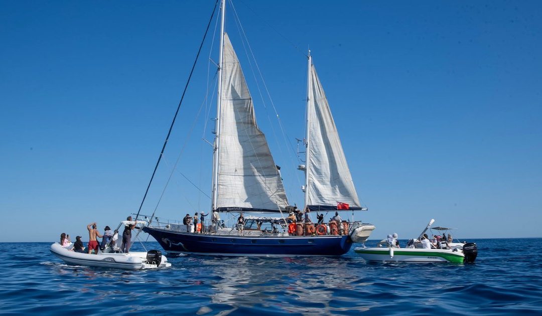Exército israelita ameaça barco onde segue Greta Thunberg