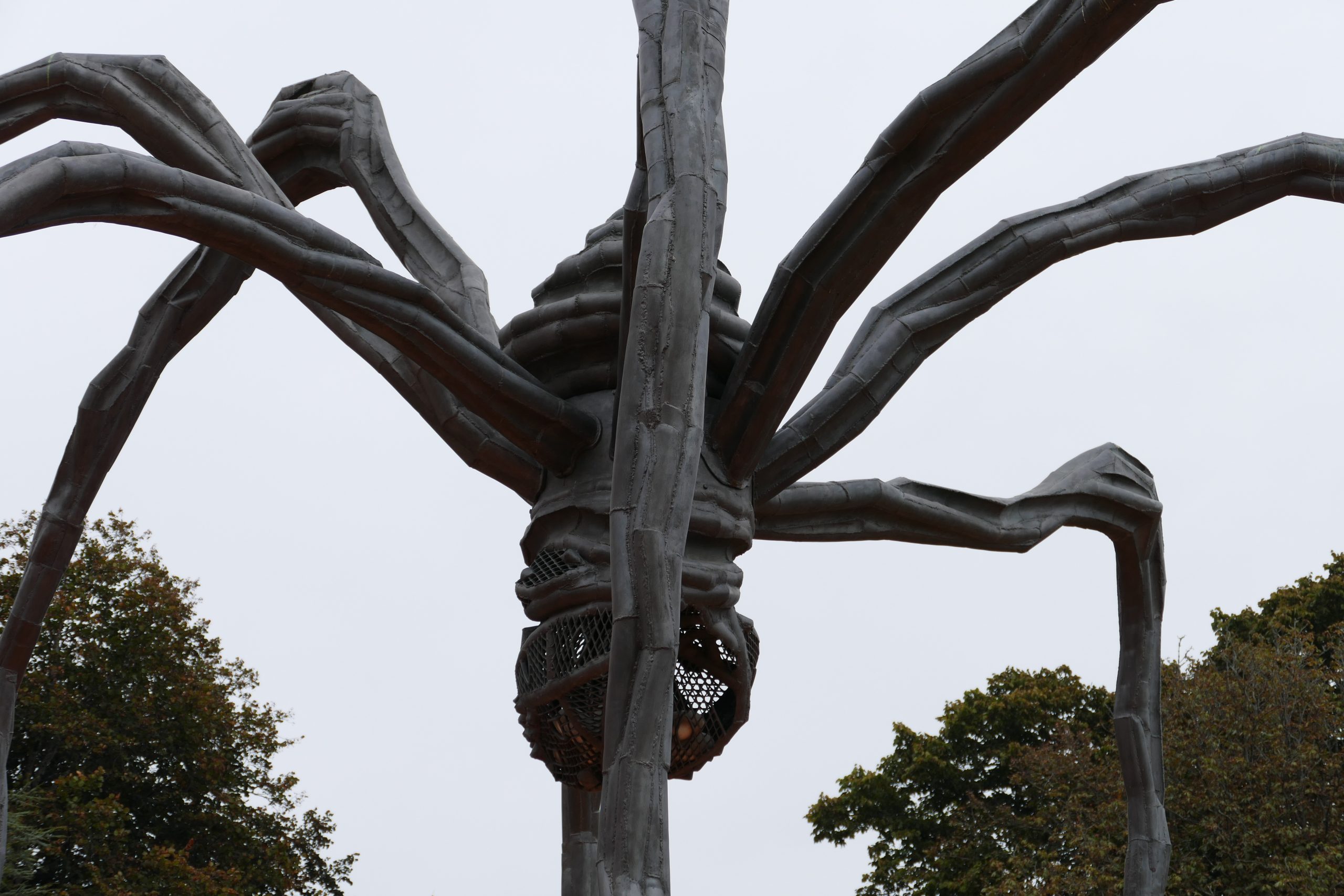 [Aprofundar os detalhes. Serralves, Porto © fotografia: Joaquim Félix]