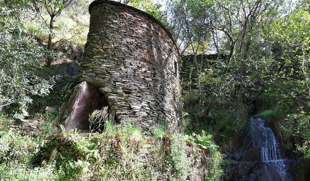 Proteger a Criação, num mundo a arder