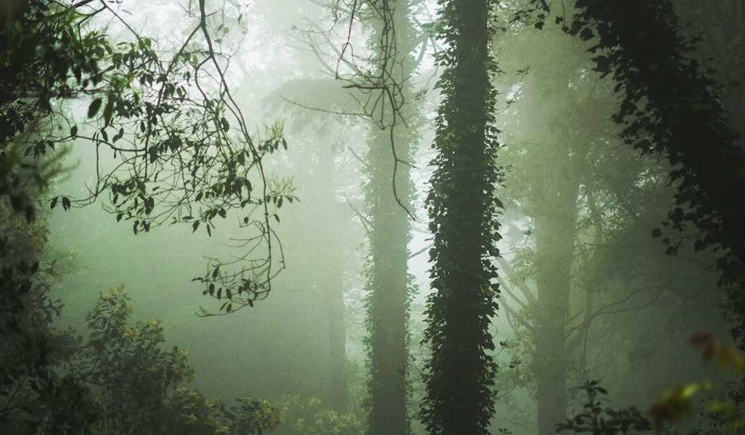 Um convite aos leitores e um verão para revelar mais lugares