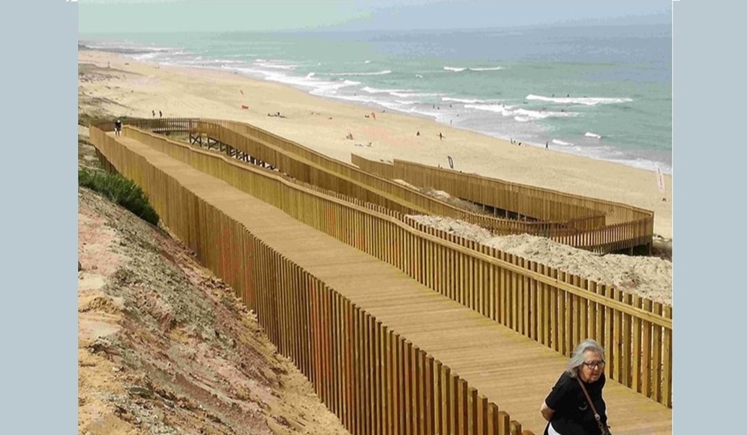 Vamos cuidar do planeta que promova uma vida longa e saudável