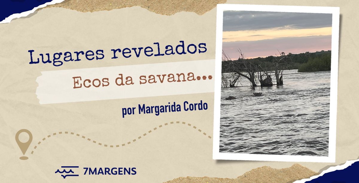 Margarida Cordo Logo