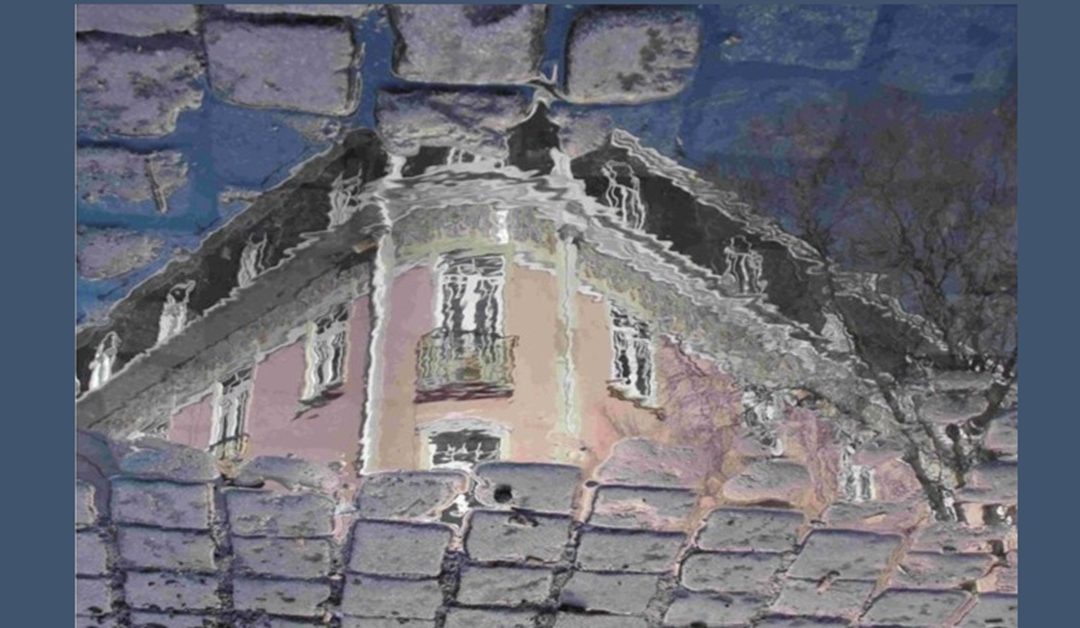 Vamos cuidar do planeta… onde até as pedras da calçada sonhem