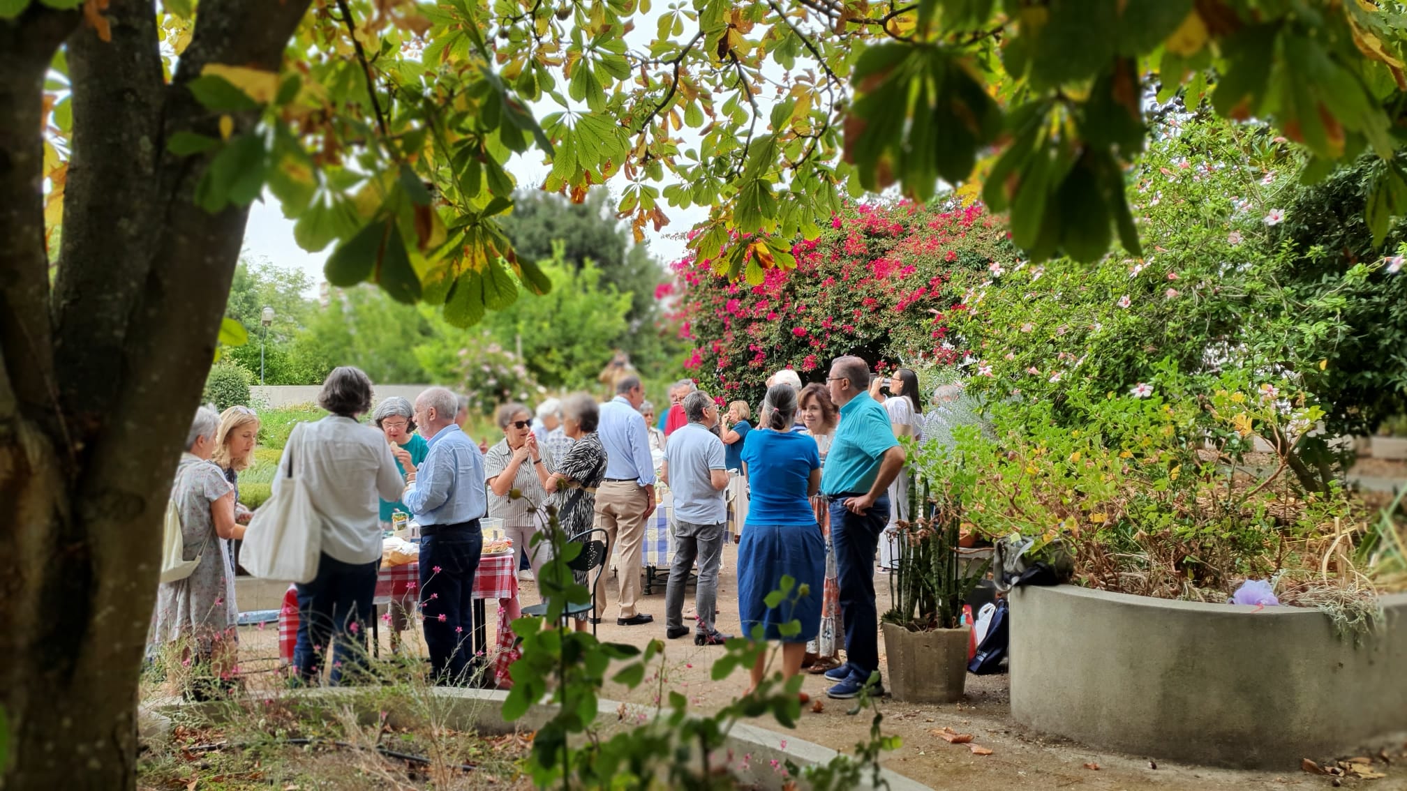 Encontro de leitores do 7MARGENS em Lisboa, 20 setembro 2025. Foto Clara Raimundo (2)