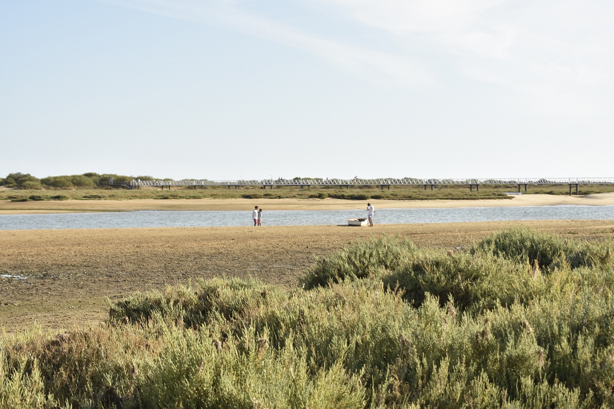 Ria Formosa. Cabanas de Tavira
