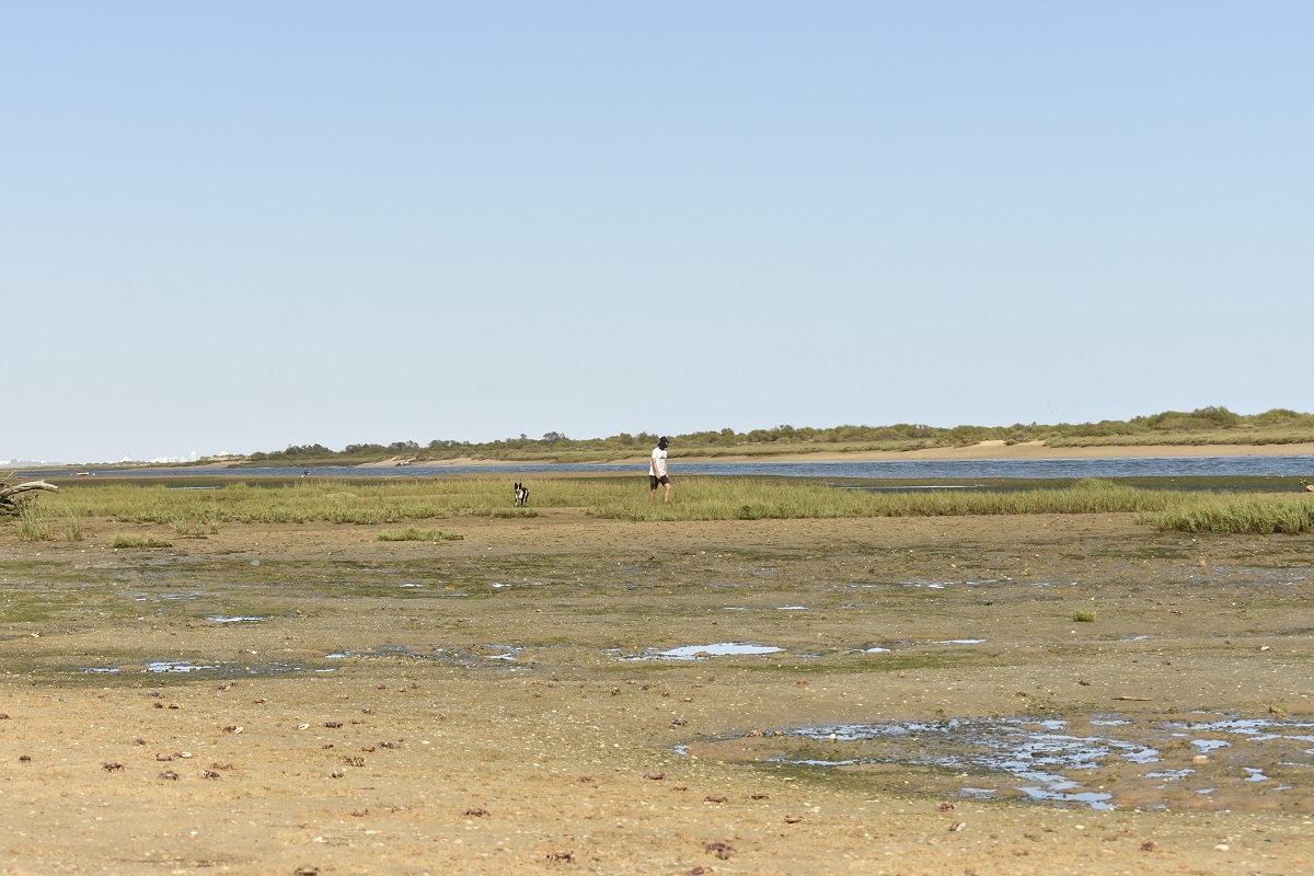Ria Formosa. Cabanas de Tavira