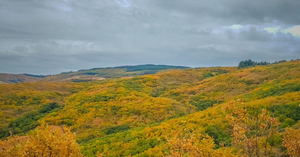 Serra da Nogueira Foto Hermano Filipe Serra da Nogueira Foto Hermano Filipe