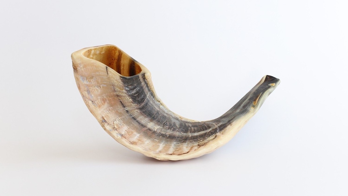 Um yobel, chifre de carneiro cujo som assinalava o início do ano julbilar e do Dia da Expiação (Yom Kippur) no judaísmo. Foto: Direitos reservados.