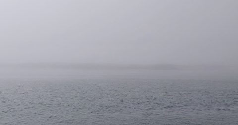 Foto 1-Para lá da névoa, o possível, o possível... (2025) (1)