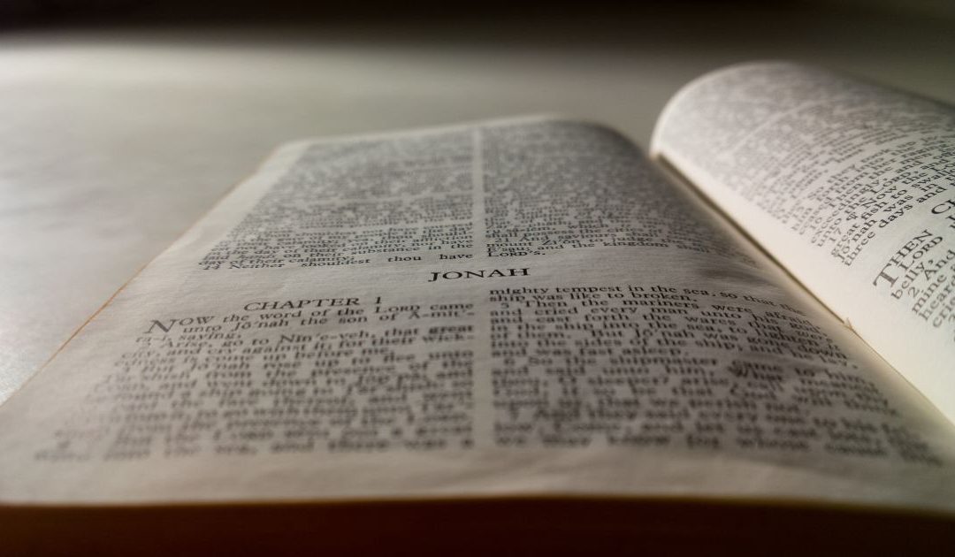 Nova tradução do Livro de Jonas, “parábola” sobre a “misericórdia universal de Deus”