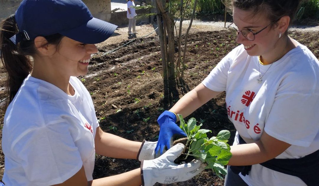 Cáritas de Lisboa compromete-se a “contribuir para a conversão ecológica da diocese”