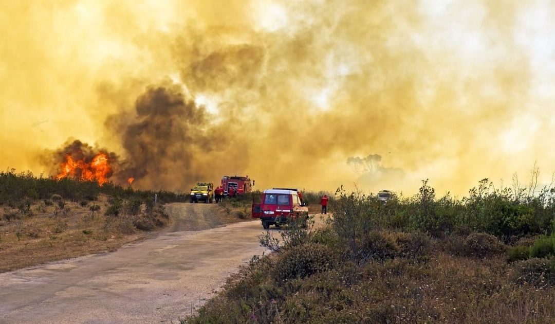 Uma conversa sobre a COP30 no Brasil, os incêndios em Portugal… e nós