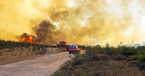 Uma conversa sobre a COP30 no Brasil, os incêndios em Portugal... e nós Incendio florestal. Foto Be the story
