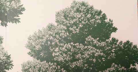Pormenor da capa do livro Para os Caminhantes Tudo é Caminho, de José Tolentino Mendonça.
