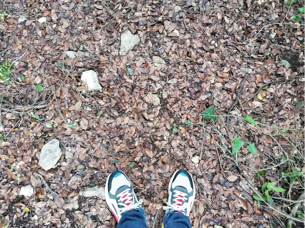Era uma vez um viajante. Um caminhante de rotas de Deus. Chamava-se “Descobridor-De-Nome-Eu”. A sua história tem de ser trilhada desde início. Foto © Cláudio Louro. pés caminhada caminho chão folhas