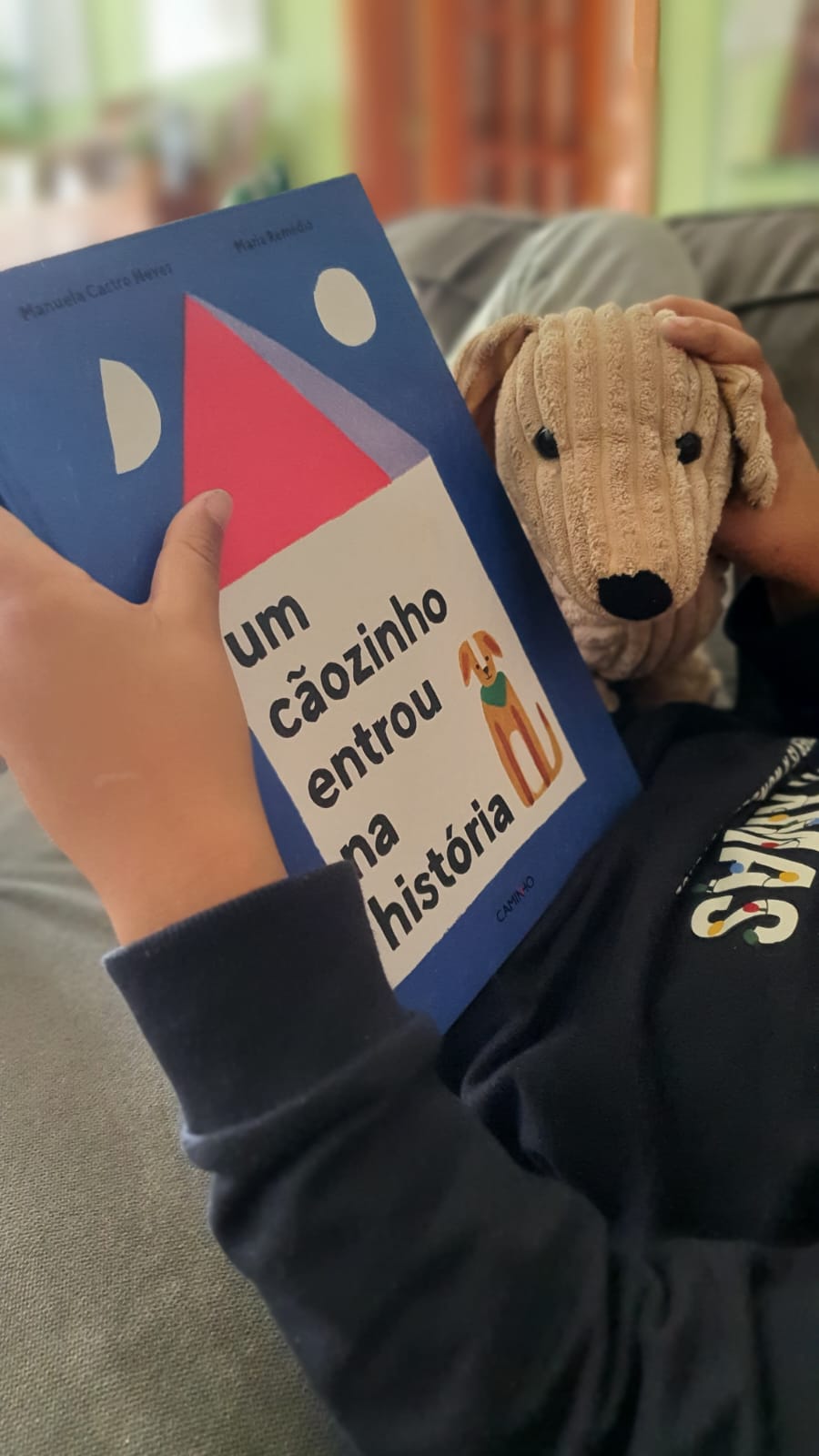 Livro Um cãozinho entrou na história, capa