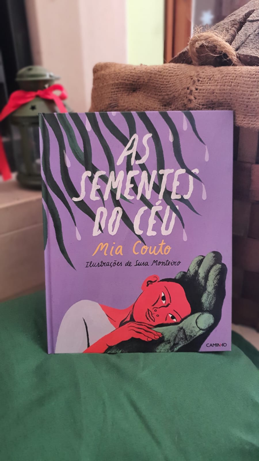 Livro As Sementes do Céu, Capa