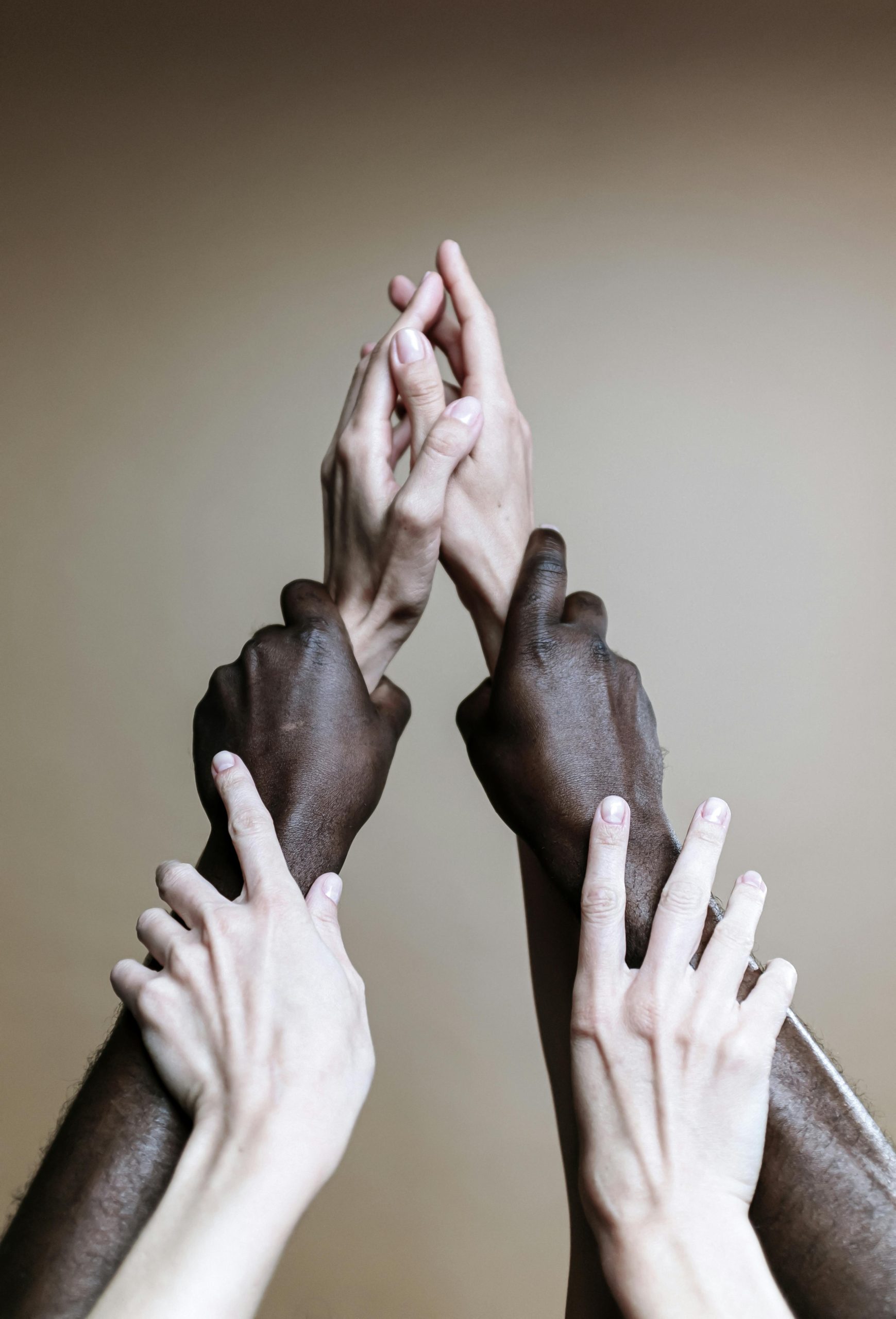Unidade na diversidade. Fotografia © Cottonbro Studio (2020)
