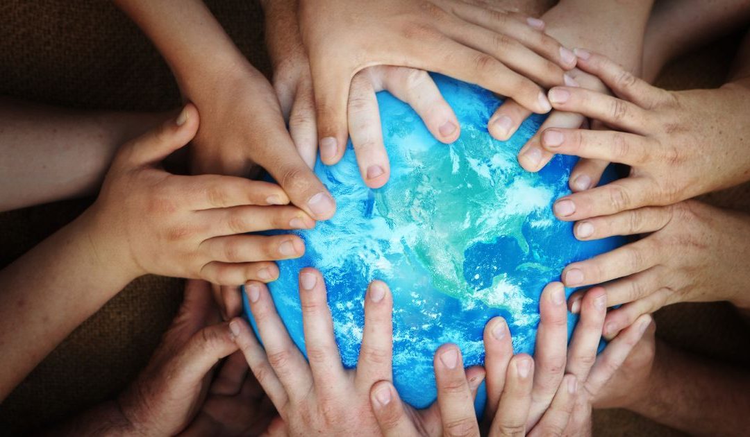Movimento Laudato Si’ quer “unir esforços pela conversão ecológica integral”
